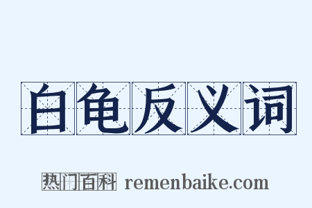 白龟反义词是什么意思的图片